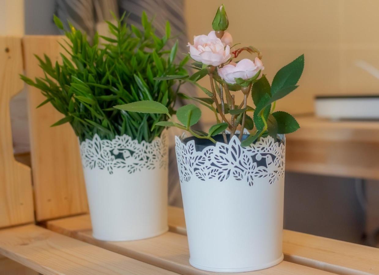 Lefkáda To Mikro Boutique Apartment מראה חיצוני תמונה